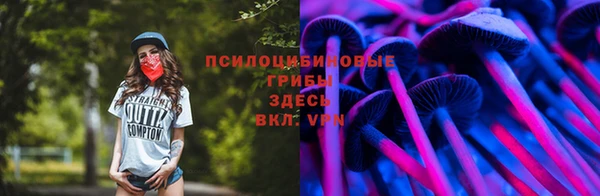 прущая мука Белокуриха