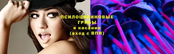 таблы Богданович