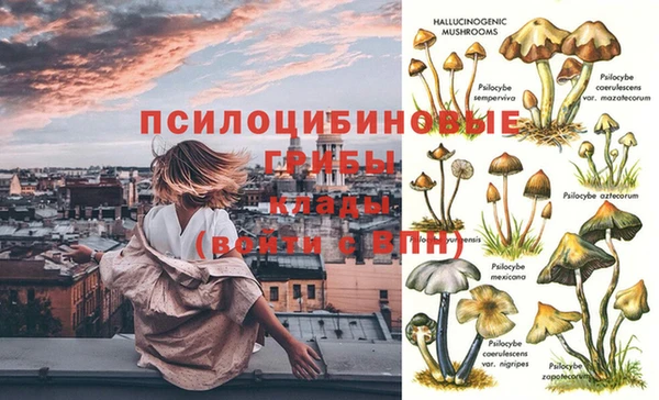 марки lsd Богородск