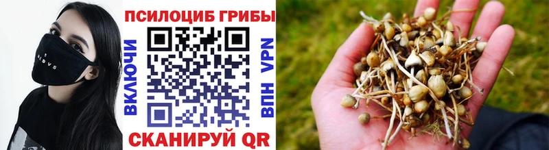 Галлюциногенные грибы мицелий  Балашов 